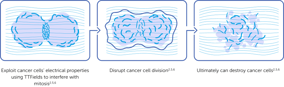 Illustration of Optune Lua's effect on cancer cell division, from mitosis interference to cell destruction - desktop version