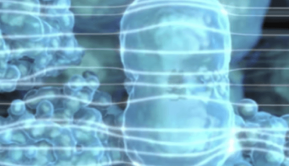 image of a cell at the microscopic level